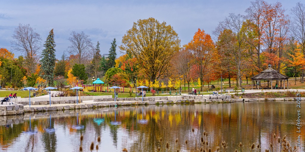 Waterloo Park with fall foliage